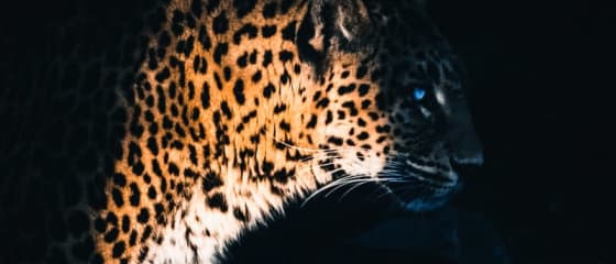 Yggdrasil Partners ReelPlay para liberar o Jaguar SuperWays de Bad Dingo